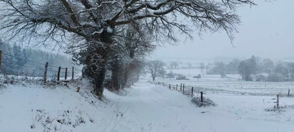 omnigo360-benl-foto-sneeuw-boom-landschap omnigo360-benl-foto-sneeuw-boom-landschap